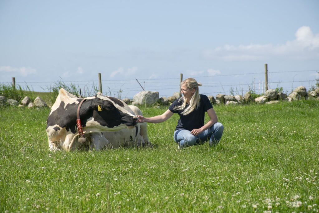 Hanne Helland Varhaug