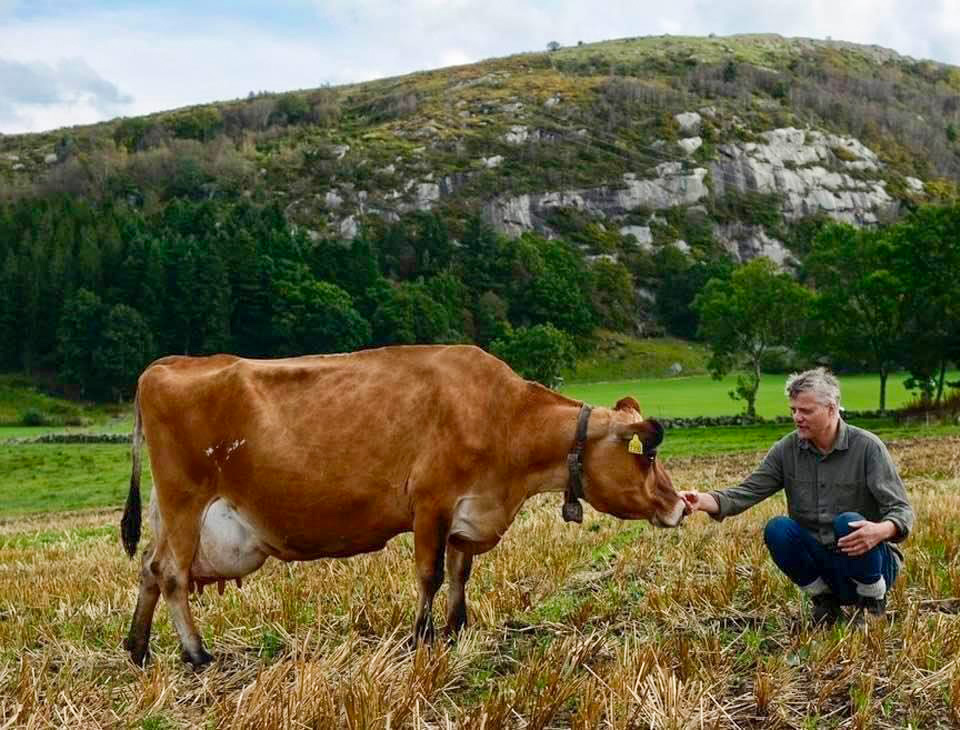 Bjørn Lende och Jerseyfe