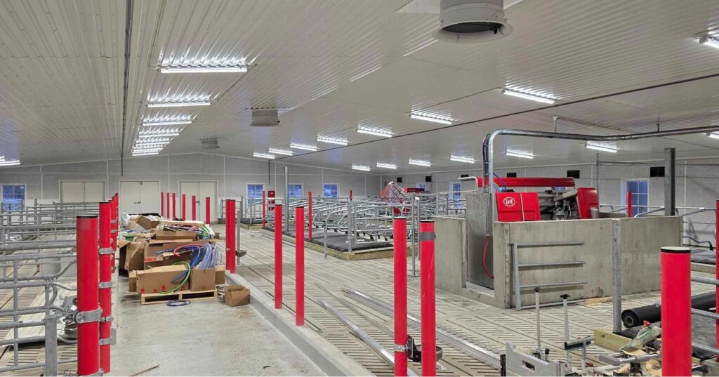 Spalt från Suding, stolpar från Wopas, ventilation från BigDutchman, inredning från Jourdain och mattor från Promat och Kraiburg. Magnus Åsegg, Steinsdalen februari 2025