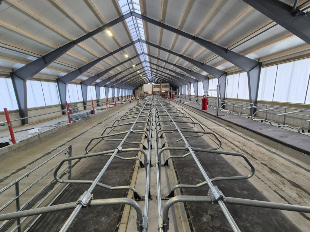 Mjölkladugård hos Runar Helland i Heim kommun. Februari 2025