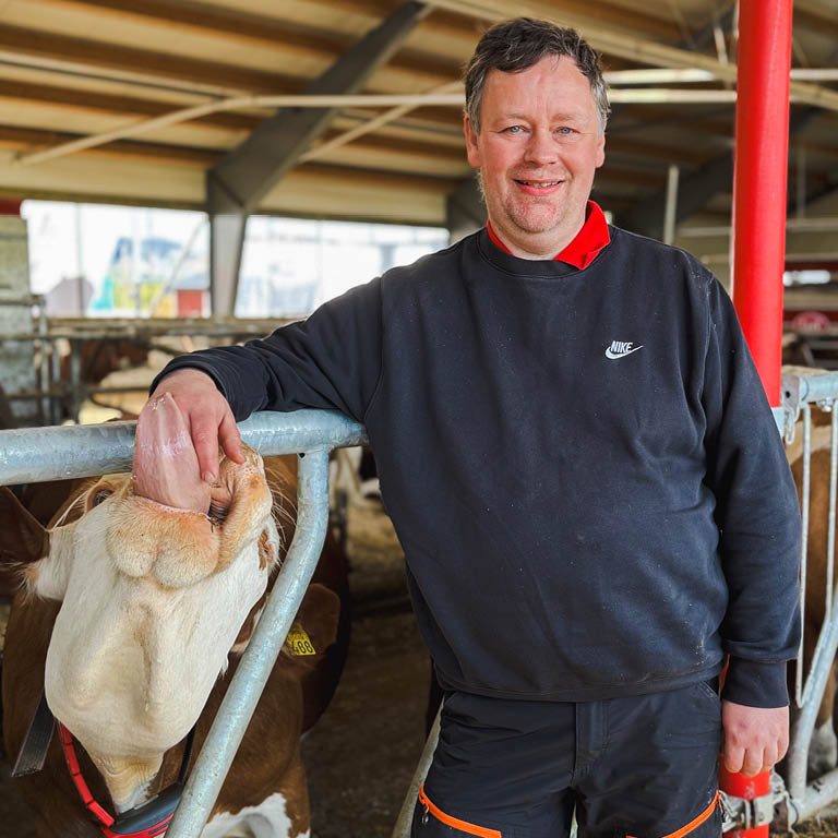 Mjölkbonde Arne-Morten Husand i sin nya ladugård, tillsammans med en ko som slickar handen hans. Sømna, 2025