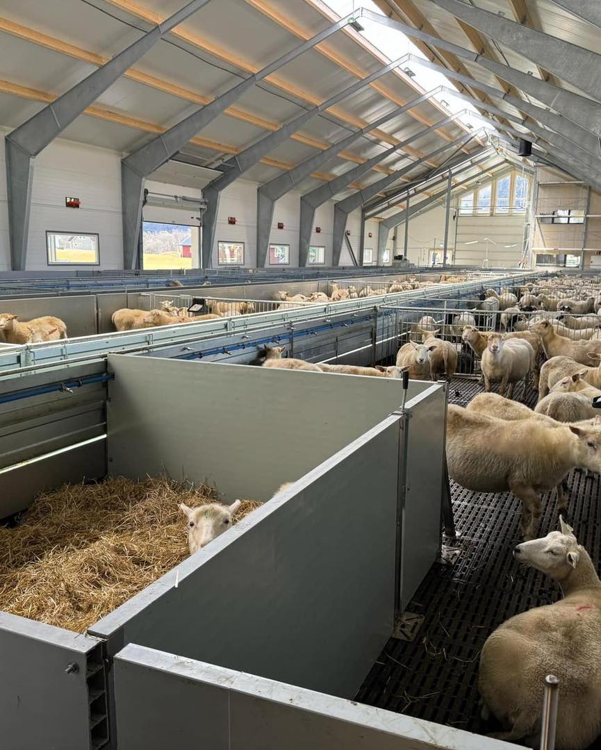 Toreparten Gaard, 2025