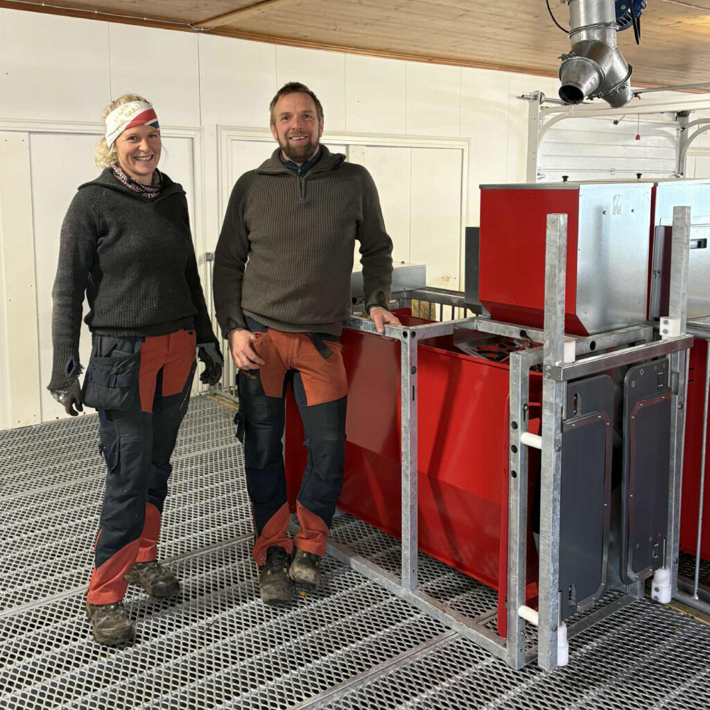 Storboxlösning med kraftfoderstation hos Anette och Fredrik Kirkelund i Hernes, 2025