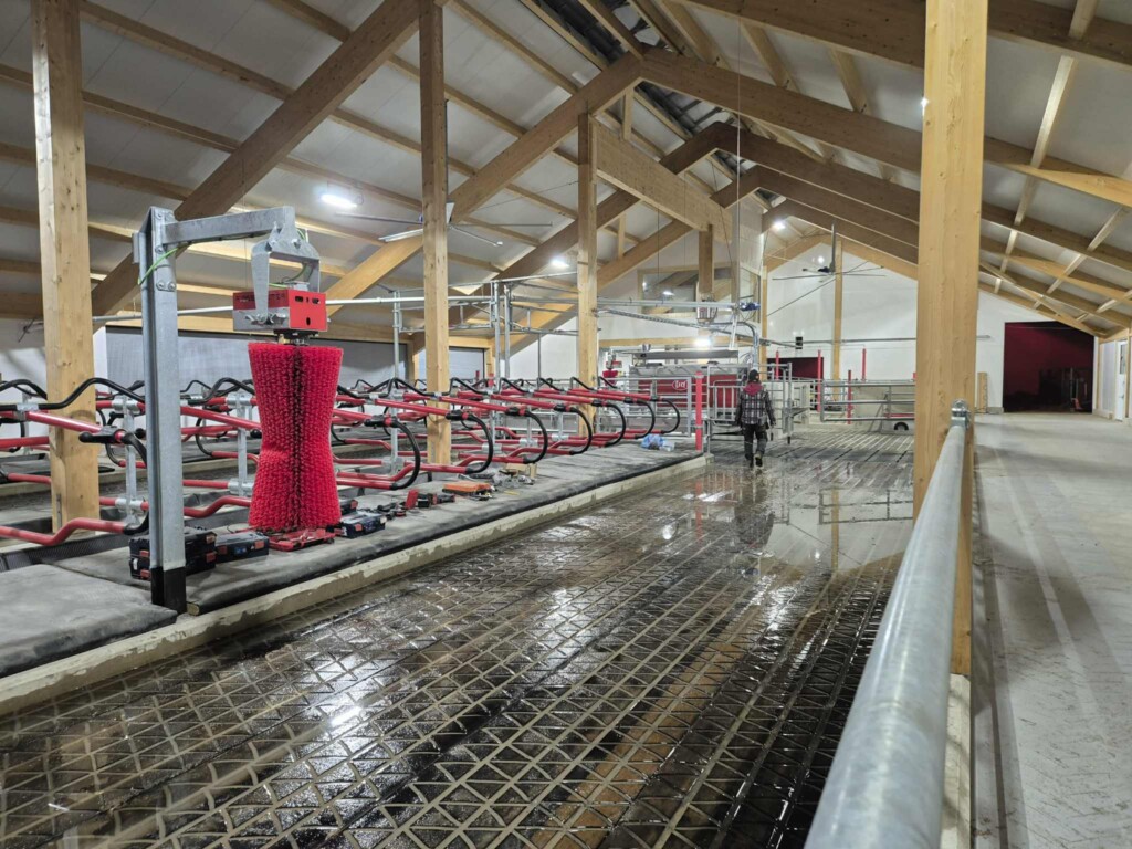 Zig Zag gummi från och Kraiburg Agri spaltgummi, i tillegg till Suding Digofloor betongspalter. Kubørster från Agricow World. Magne Landrø och May Rita Olsen. Lensvik, december 2025.