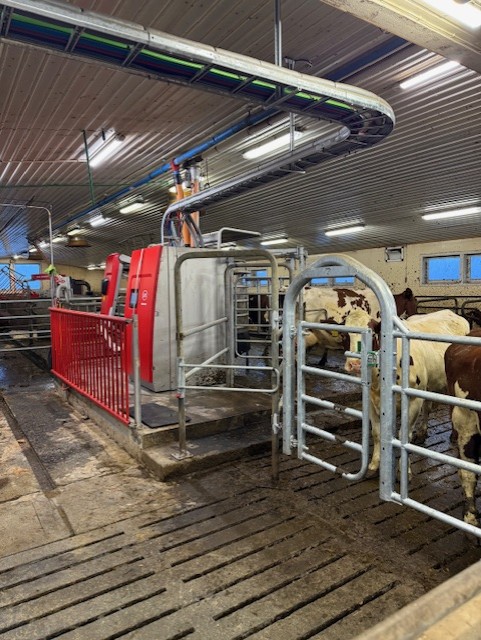 Erlend Almlid, Lely A5 Next