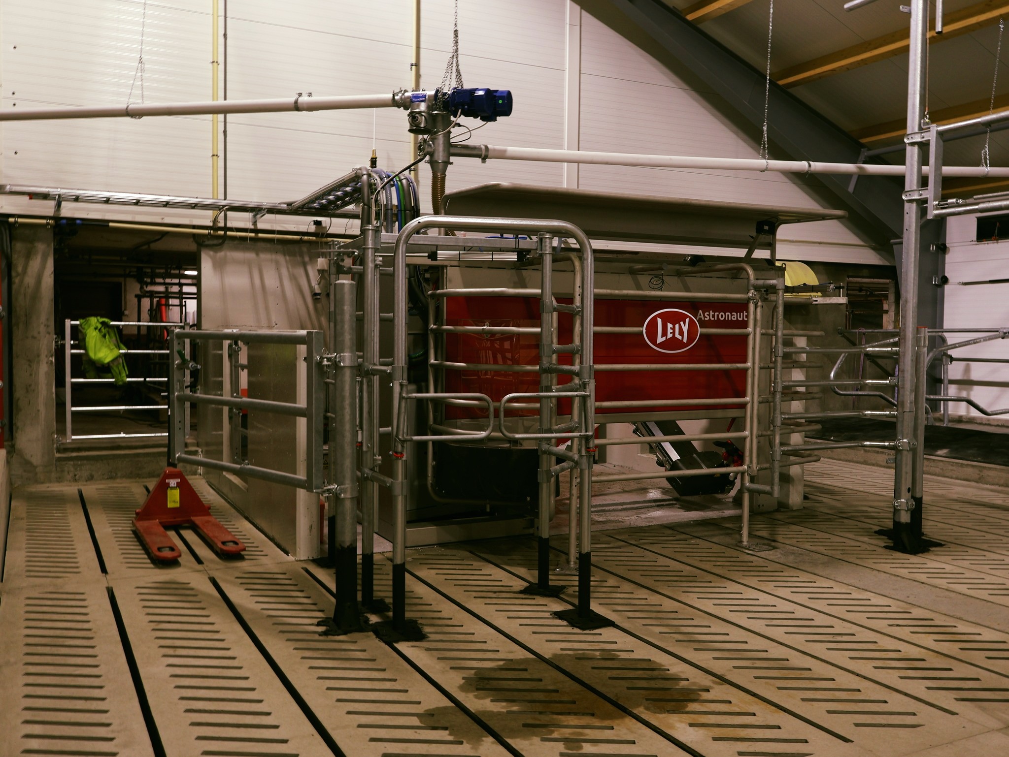 Lely A5 mjölkrobot hos Ola Nesset, Tessanden 2025