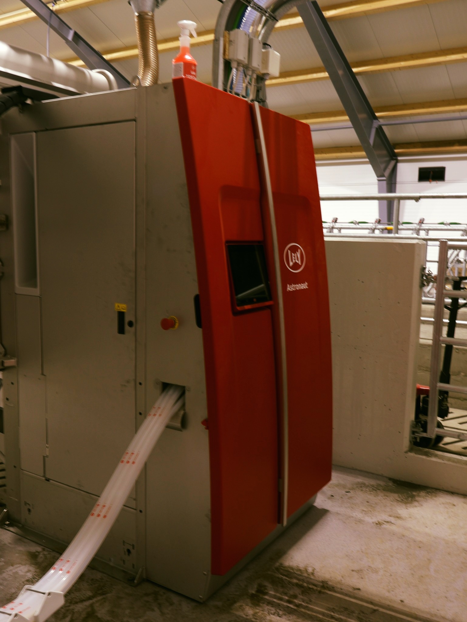 Lely A5 mjölkrobot hos Ola Nesset, Tessanden 2025