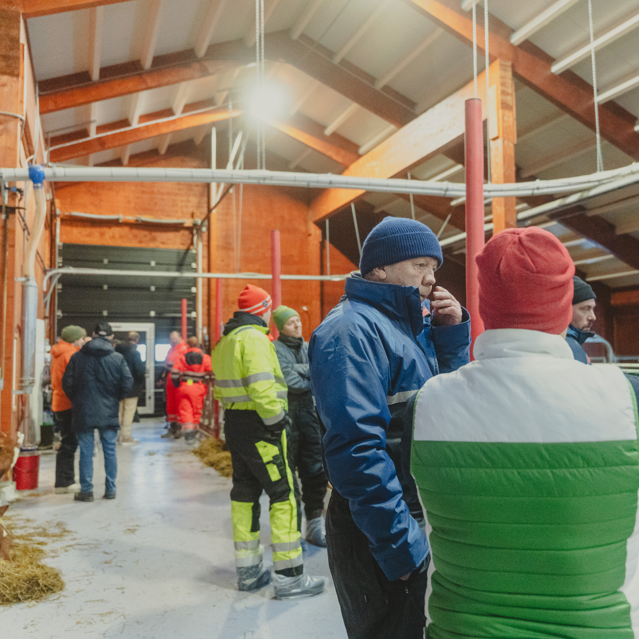Agrilight Pro lys, massivträ. Tonje Rem, Knut Sander Rem Haugen, Knut Inge Haugen och Tonje Rem. Ørsta, 2026