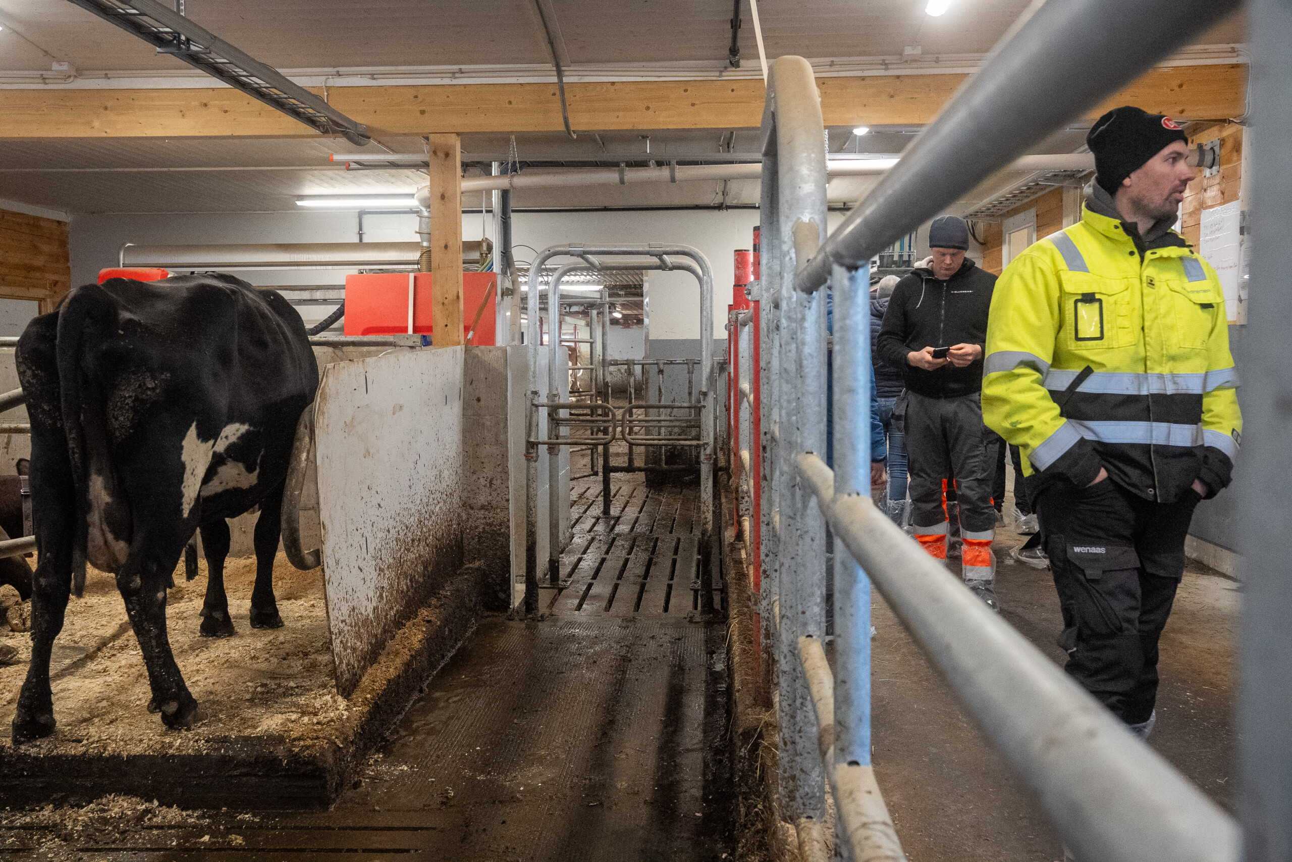 Jourdain inredning hos Jostein Østvang. Vingelen, 2026
