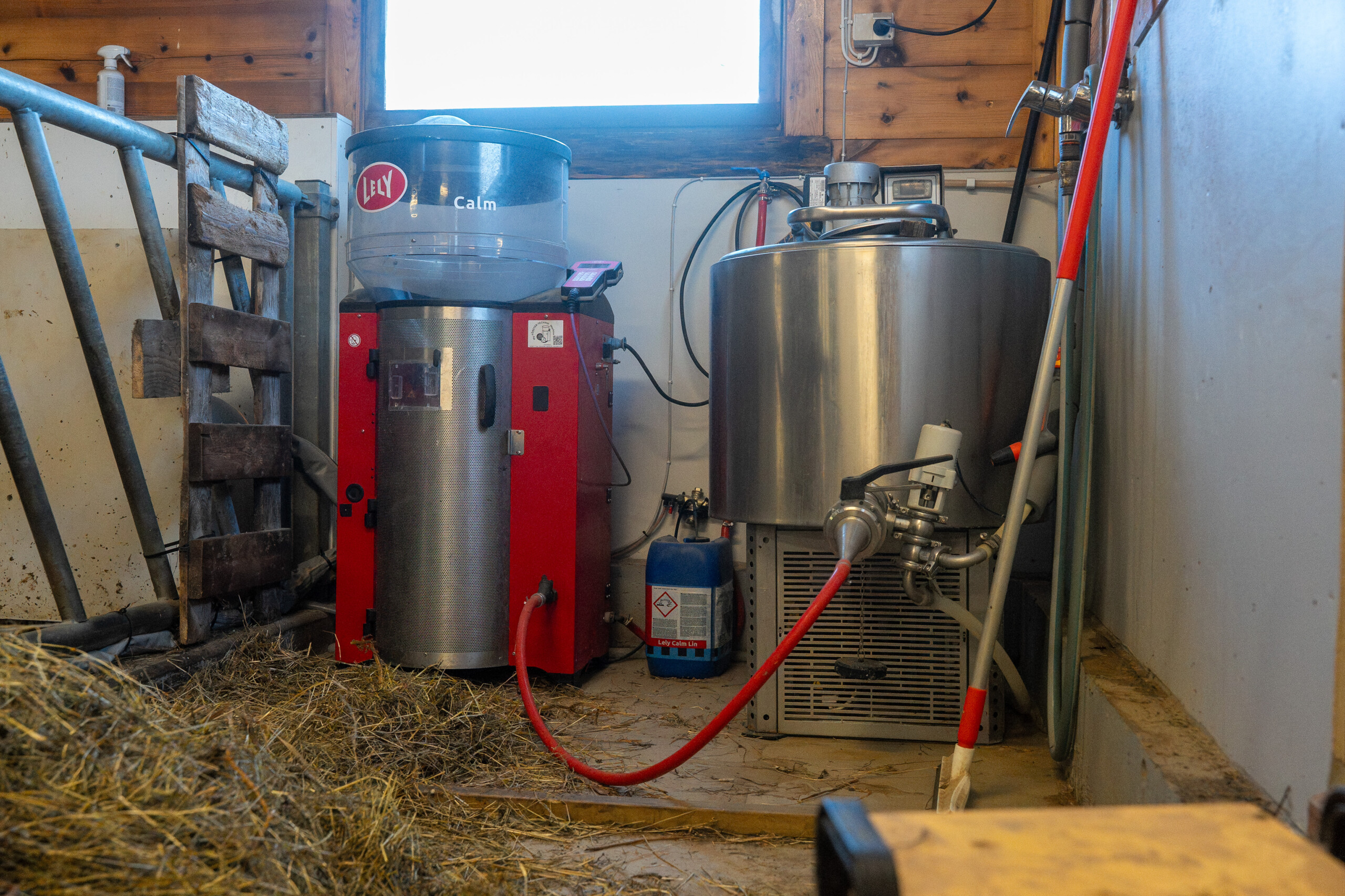 Lely Calm med Calf Clout och Melkeledning 2 hos Jostein Østvang. Vingelen, 2026