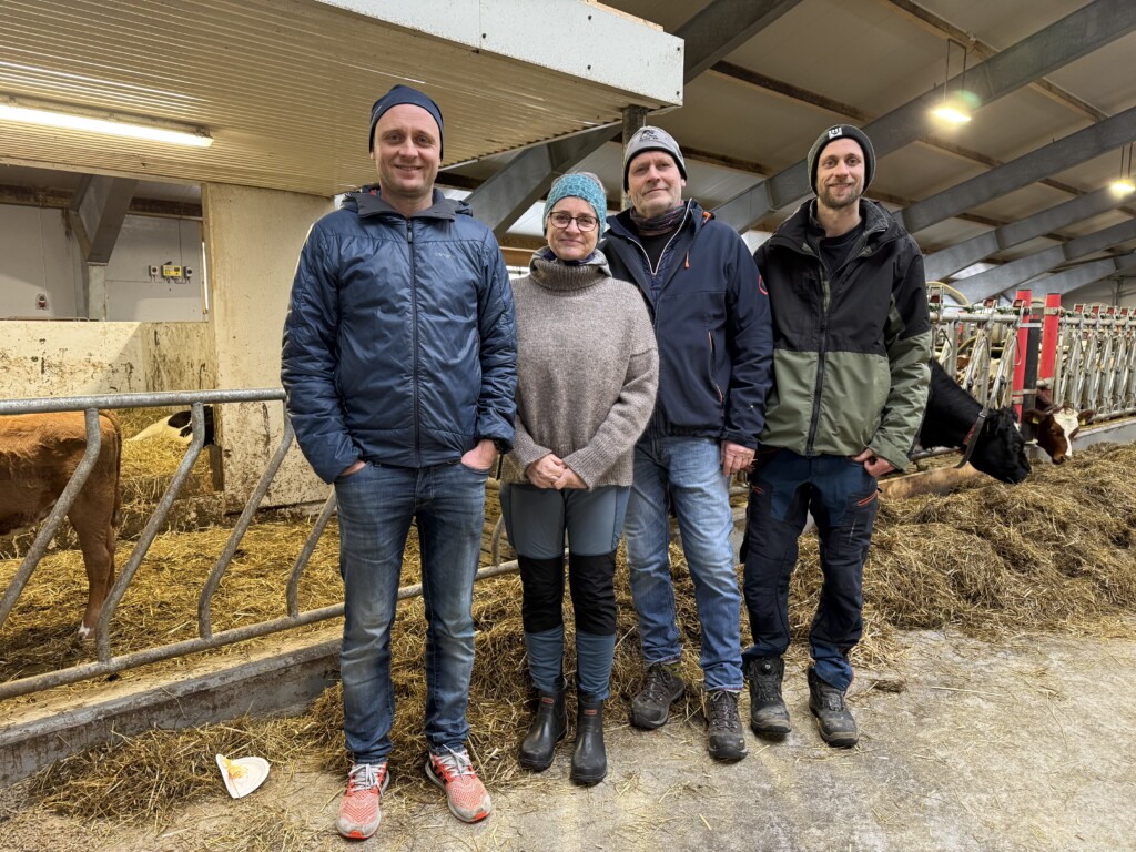 Familjen Heggheim. Tau, 2026