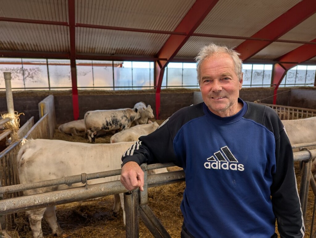 Håkon Marius Kvæken och Speckle Park. Foto: Dag Idar Jøsang, Norsk Landbruk
