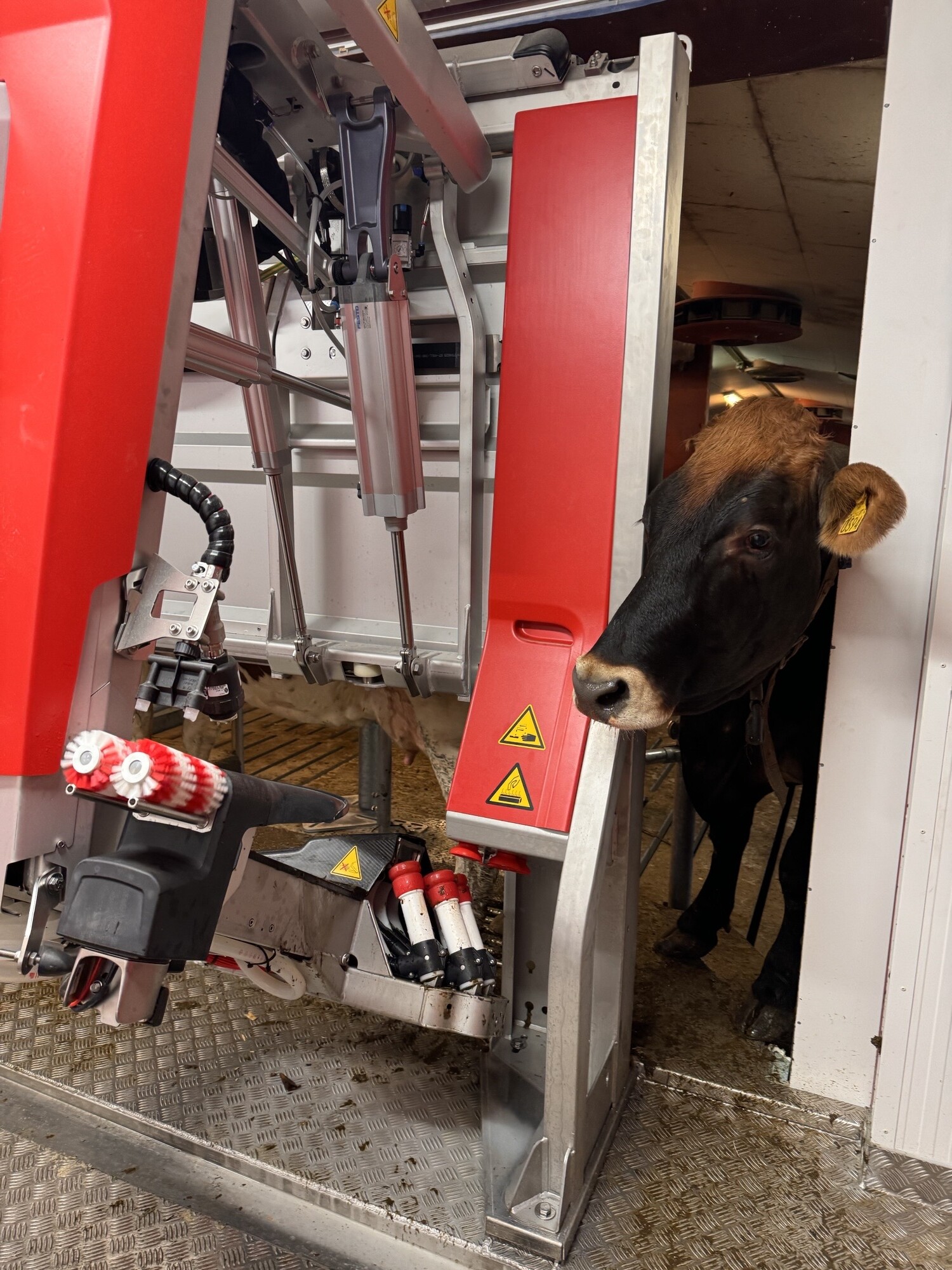 Fäbodbruk med mobil Lely Astronaut mjölkrobot i container