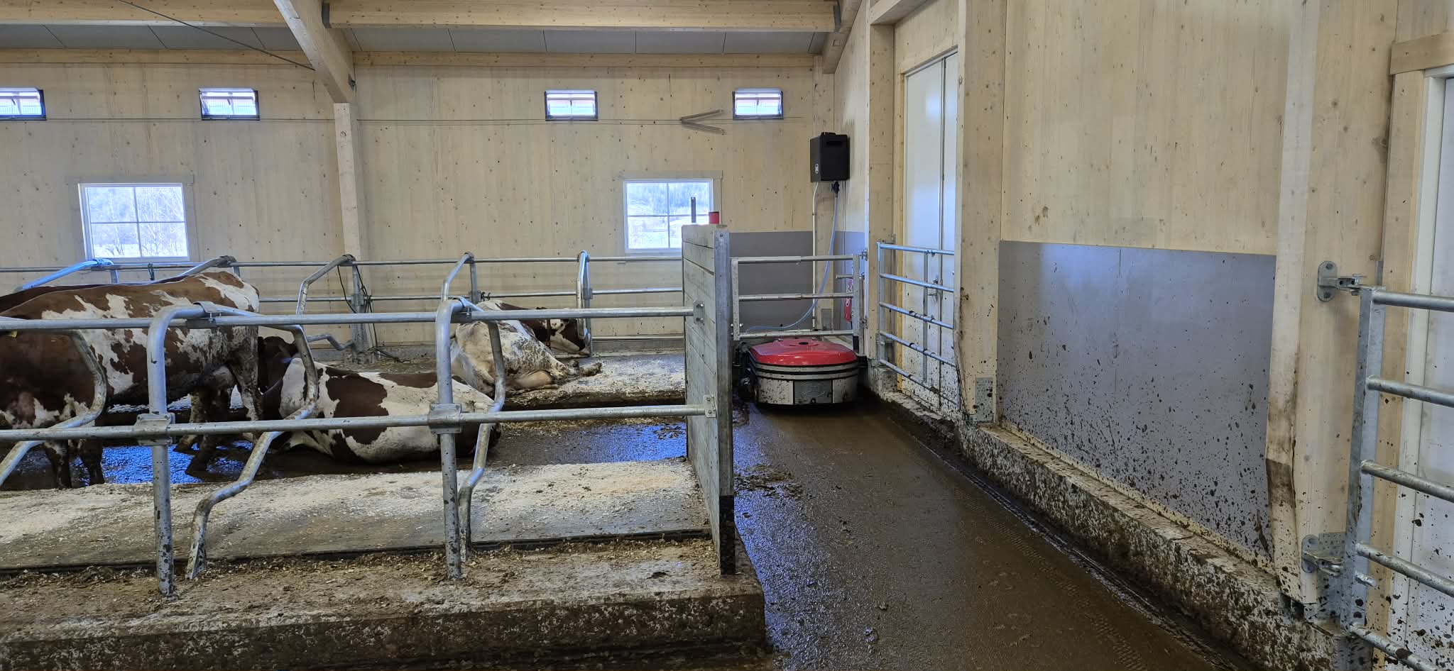 Lely Collector hos Roxana Stangebye. Sigdal, 2026