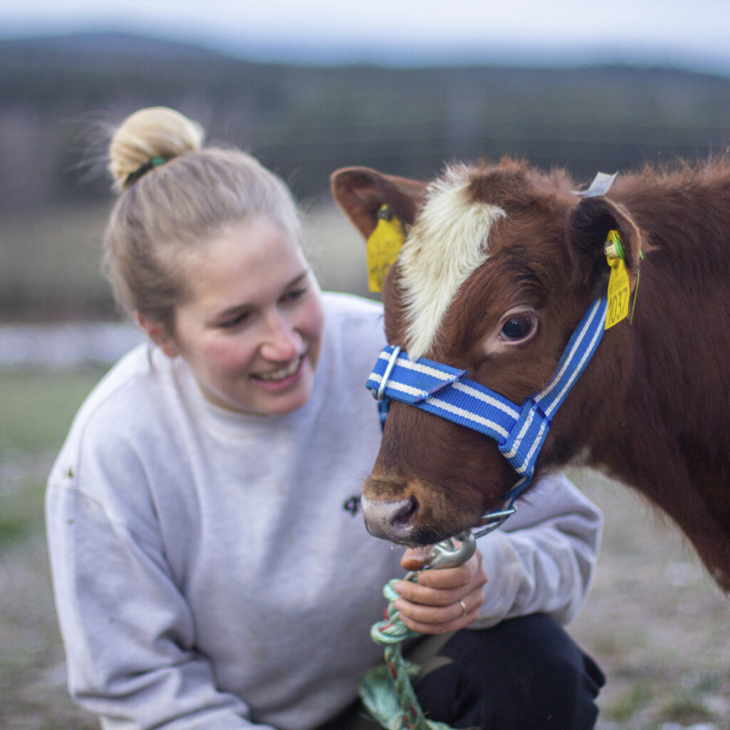 Hanna Retzius Storlien, Geno