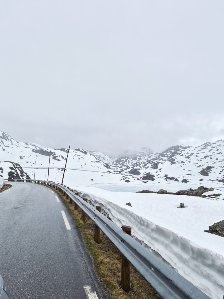 får, fårstall, Voss, Hardanger, Røldal, Suldal, Hjelmeland, Jæren, Rennesøy. 2026