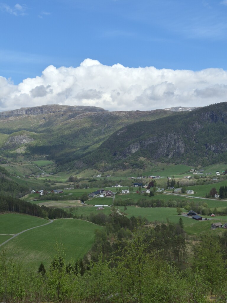 får, fårstall, Voss, Hardanger, Røldal, Suldal, Hjelmeland, Jæren, Rennesøy. 2026