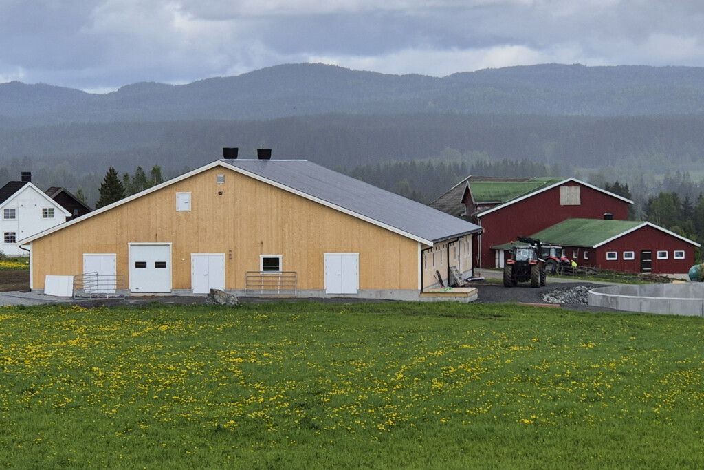 Ladugård i massivträ hos Odd Anders Svendsby, Vikersund. 2026