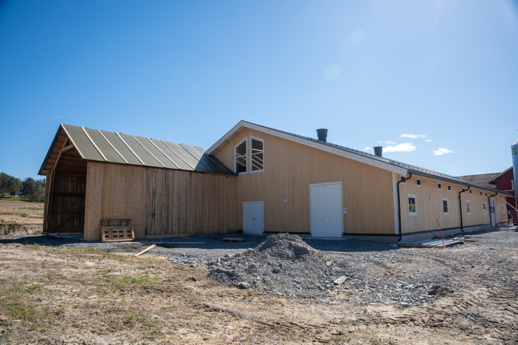 Ladugård i massivträ från Splitkon. Fodercentral under oppføring hos Roxana Stangebye. Sigdal, maj 2026