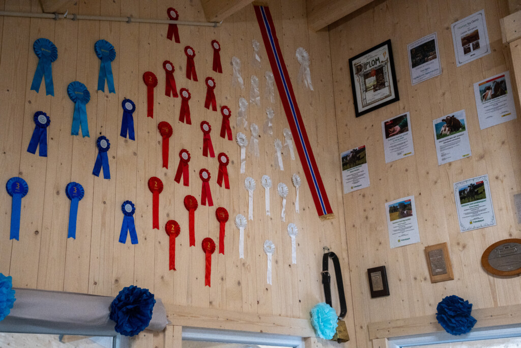 Noen av utmerkelsene Oddvar och Roxana Stangebye har mottat. Sigdal, maj 2026